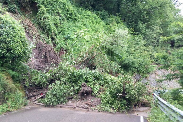 恶劣天气：雷焦艾米利亚地区42条省道受损